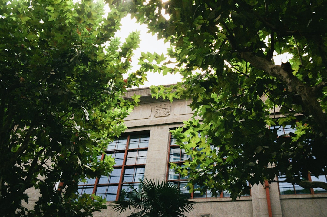 Monumentaal gebouw omringd door groen, symbool voor duurzaam onderhoud van historisch glas